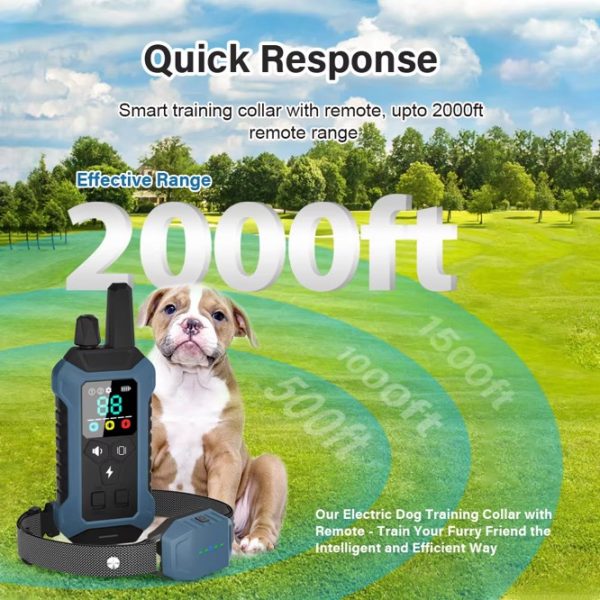2000FT Electric Pet Dog Training E-Collar Anti-Bark Obedience Remote Control LCD (BLUE) - Image 2
